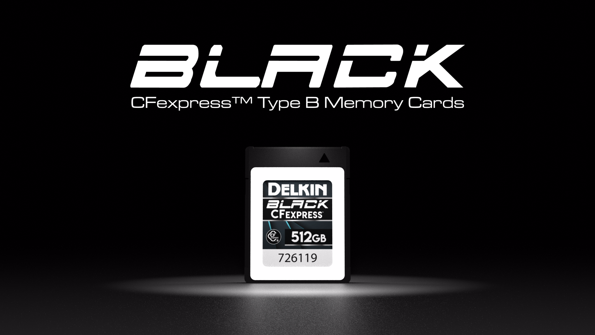   Delkin Devices Black